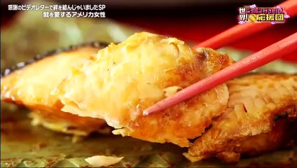 無料 バラエティー 番組 動画 - 世界！ニッポン行きたい人応援団  動画 9tsu   2021年1月18日