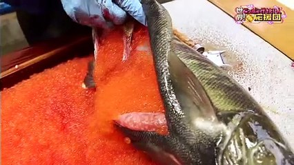 Youtube 動画 バラエティ - 世界！ニッポン行きたい人応援団  動画 9tsu   2021年1月18日