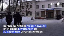 30 Tage Haft für Nawalny – Kreml-Kritiker ruft zu Protesten auf