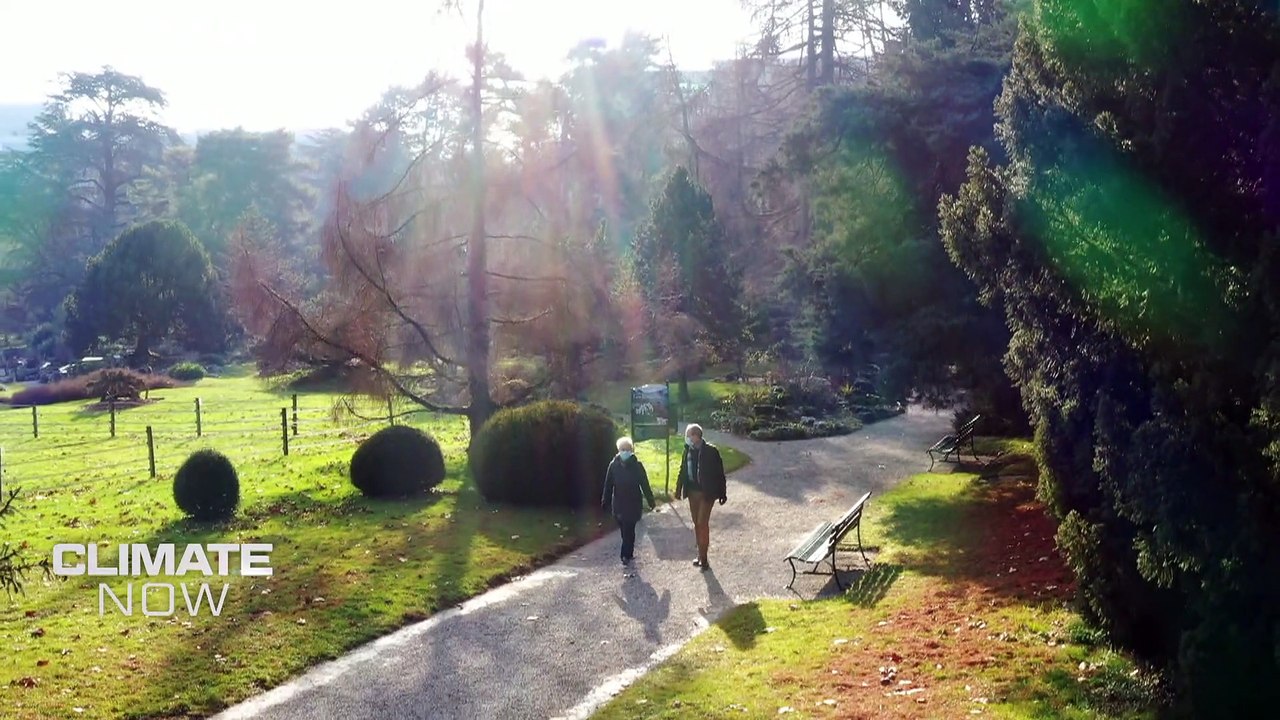 Trotz Corona: Keine Anzeichen für Entschärfung der Klimakrise