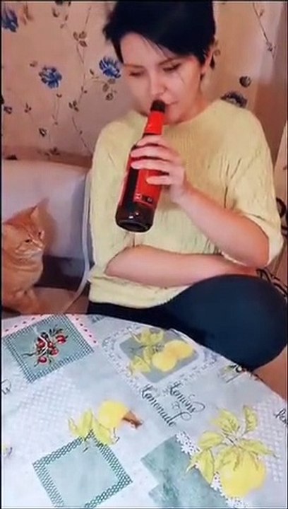 Gata impide a su dueña tomar cerveza