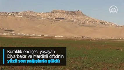Kuraklık endişesi yaşayan Diyarbakır ve Mardinli çiftçinin yüzü son yağışlarla güldü
