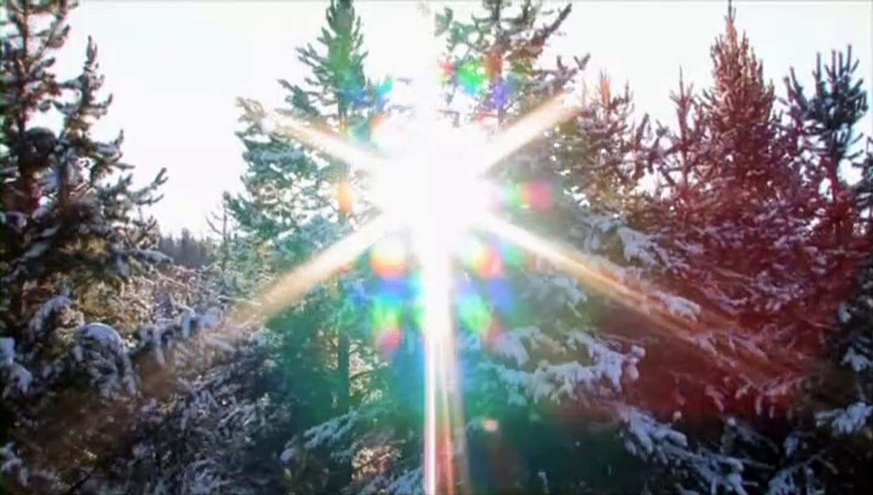 O Come All Ye Faithful - Fountainview Academy Choir & Orchestra