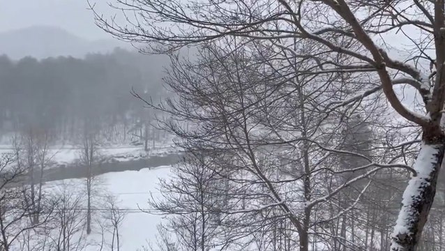 Snowfall blankets eastern United States