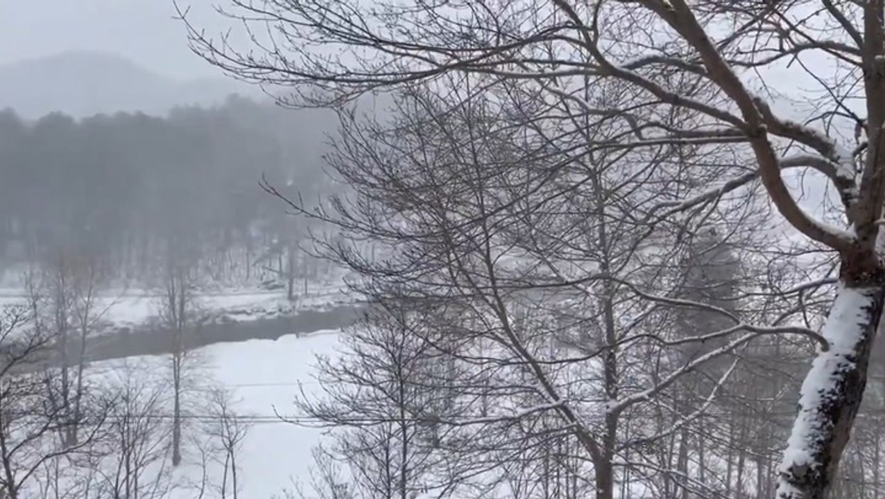 Snowfall blankets eastern United States