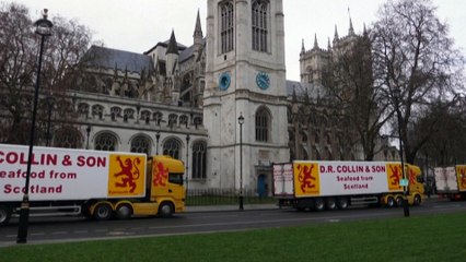 Los mariscadores británicos protestan frente al Parlamento ahogados por la burocracia postbrexit