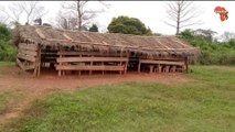 Bienvenue à l'EPP Ekalekro, une école en Côte d'Ivoire au 21è siècle