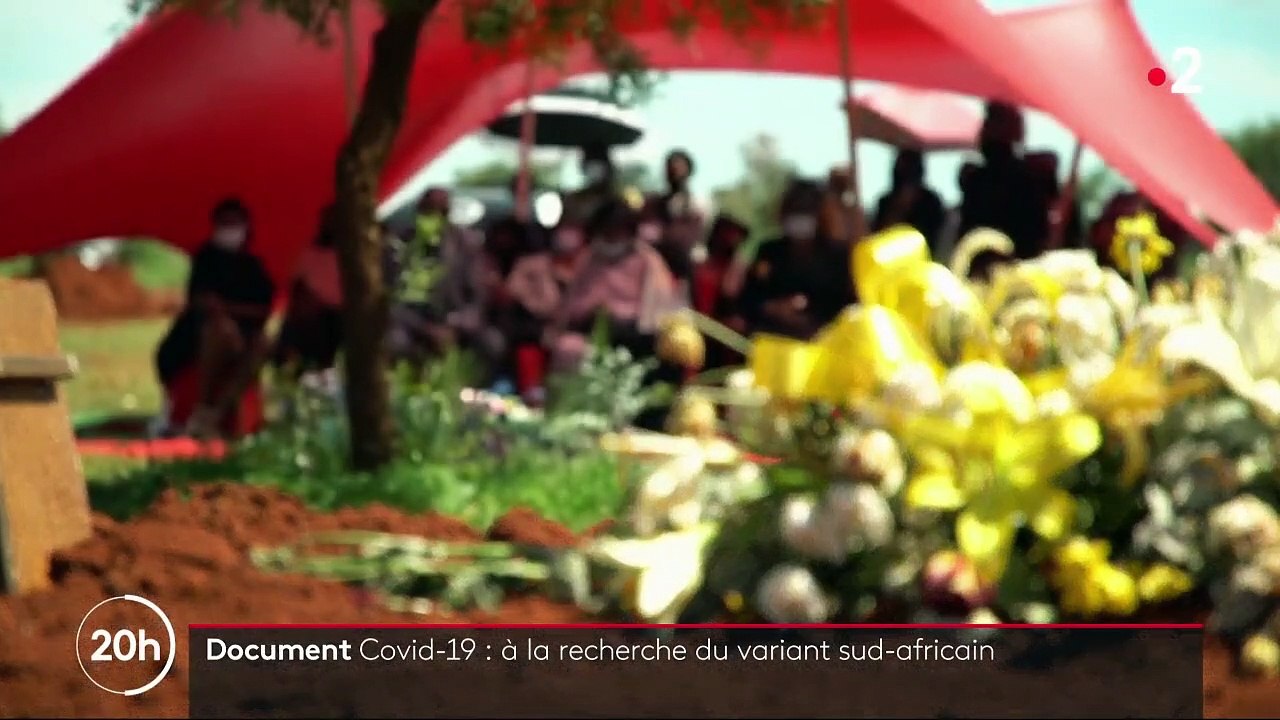 Afrique du Sud : le variant sud-africain du Cov...