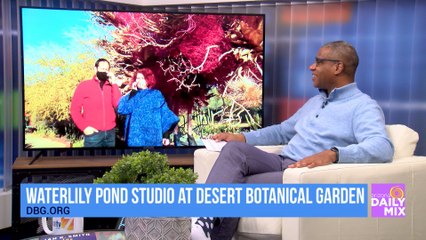 New Exhibit Creators at Desert Botanical Garden