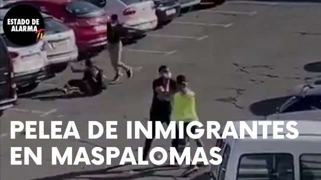 PELEA de INMIGRANTES en MASPALOMAS (Canarias)