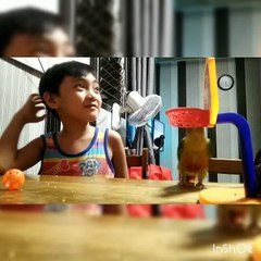 Boy Bonding with His Pet Bird