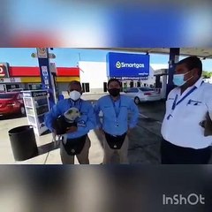 ¿Un perrito trabajando en una gasolinera de Culiacán? ¡Sí! Es el ‘Chapo’, conócelo
