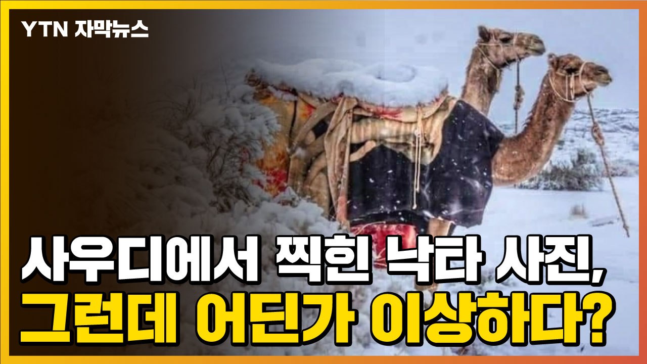 [자막뉴스] 사우디에서 찍힌 낙타 사진, 그런데 어딘가 이상하다? / YTN