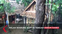 Seruput kopi di Tengah Kebun Karet