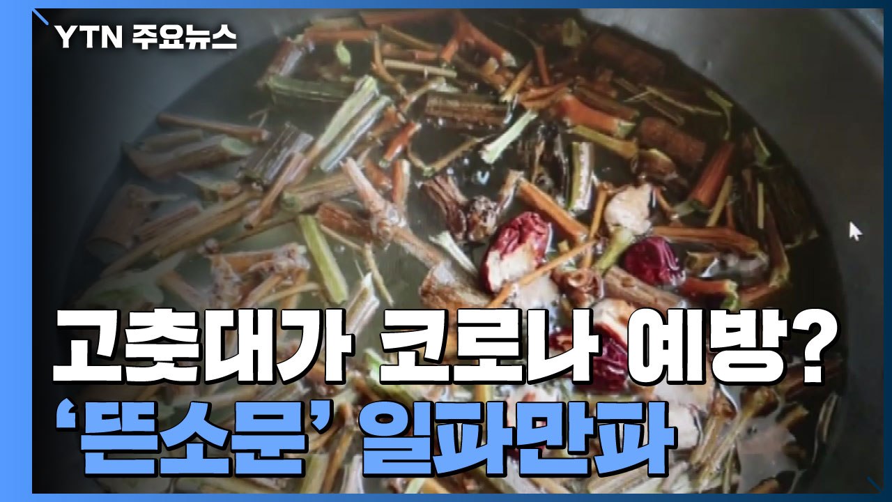 "코로나19에 특효" 고춧대 허위 광고 한의사·업체 적발 / YTN