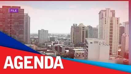 Expert: Economic growth can be pursued even without foreign ownership