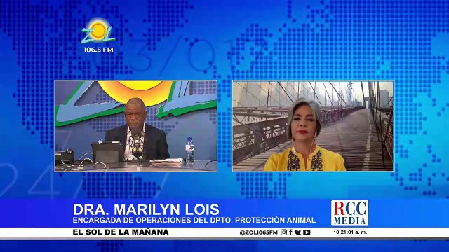 Dra. Marilyn Lois de la Unidad de Protección Animal comenta caso de hombre maltrató la perrita Trufa