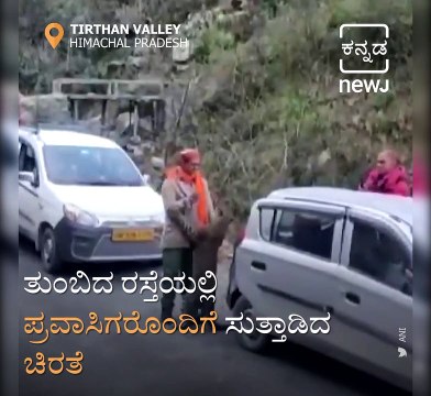 Viral Video Of Leopard Playfully Interacting With A Crowd In Himachal