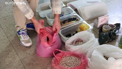 شاهد: فنان من كوسوفو يرسم صورة لبايدن باستخدام الحبوب والبذور