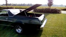 1976 Chevrolet El Camino 5,7 ltr 350 cui LPG
