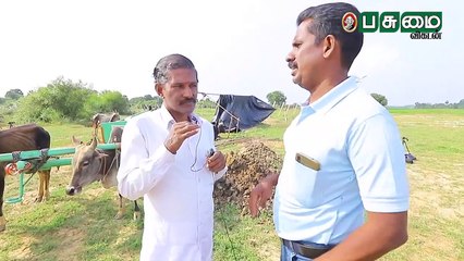 "பழமையான மாட்டு வண்டி, உம்பளச்சேரி மாடுகள்.." - இது விவசாயியின் சக்சஸ் பார்முலா!