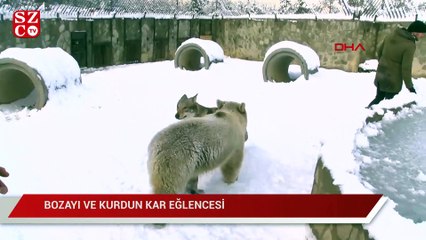 Bozayı ve Kurdun kar eğlencesi
