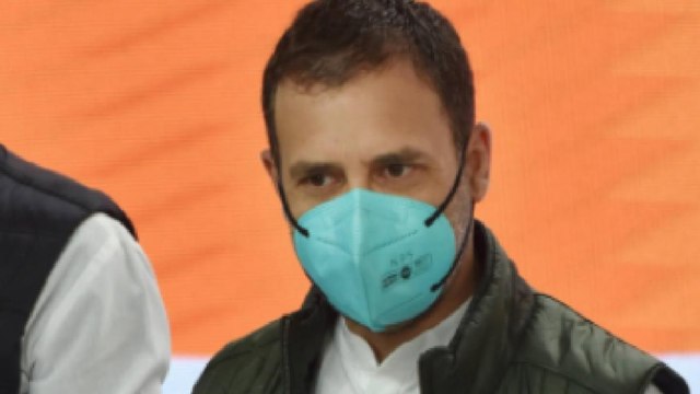 Not afraid of Narendra Modi, says Rahul Gandhi