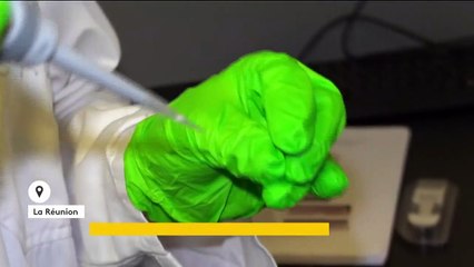 Mayotte : quatre cas de variant sud-africain du Covid-19 détectés