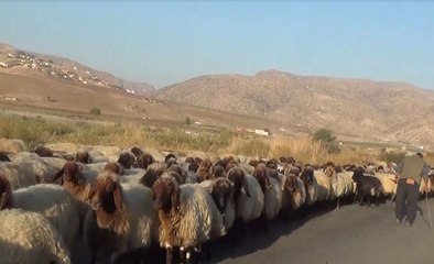 Siirt'te ''Köyümde Yaşamak İçin Bir Sürü Nedenim Var Projesi''