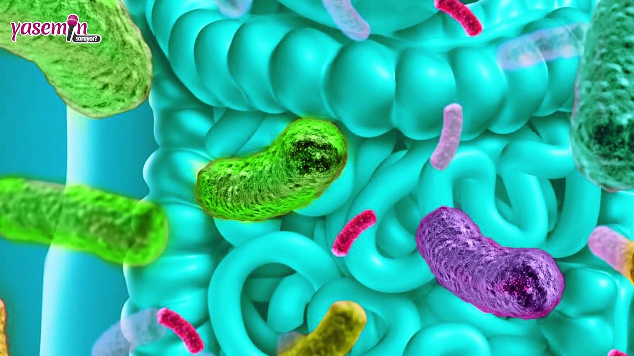 Geçirgen Bağırsak sendromu yaşam kalitesini düşürür!