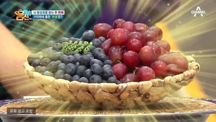 활성산소 제거, 기억력 개선! 시너지 효과를 끌어오는 '포도&블루베리'
