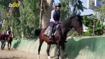 These Horses Are Helping These Riders with Special Needs