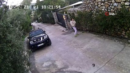 Yaşananlar kamerada... Köpeğin saldırısına uğrayarak yaralanan genç kızın annesi köpeği ezmekle suçlandı