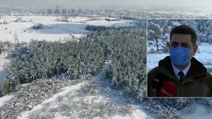 En Şanslı Geyikler... Üniversite Bakıyor, Milli Parklar Besliyor