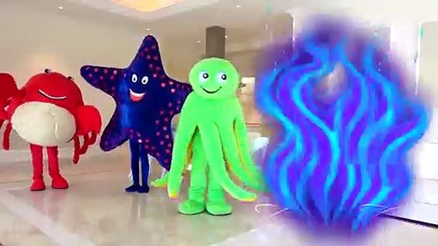 Diana juega con un súper acuario - Una historia sobre animales marinos