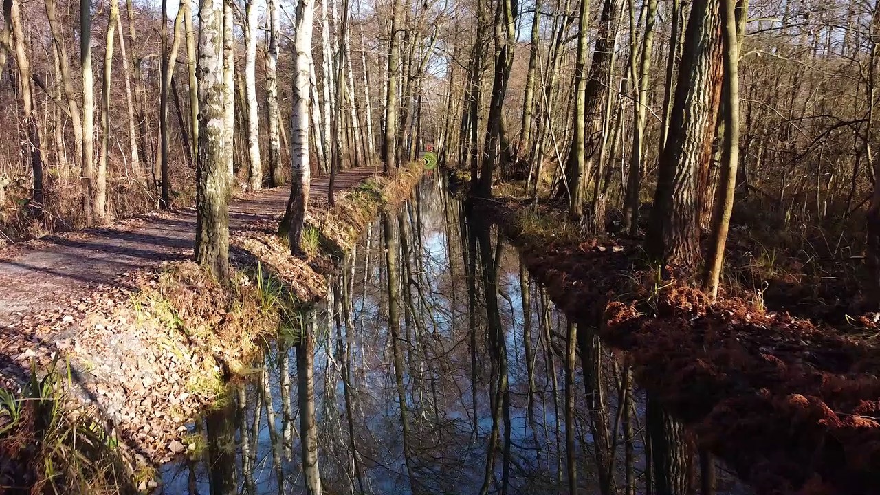 Lehde / Spreewald