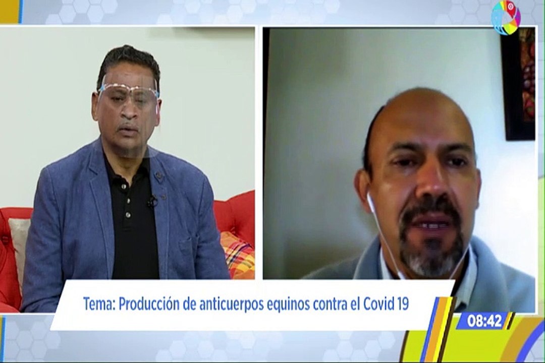 Producción de anticuerpos equinos para combatir la COVID-19