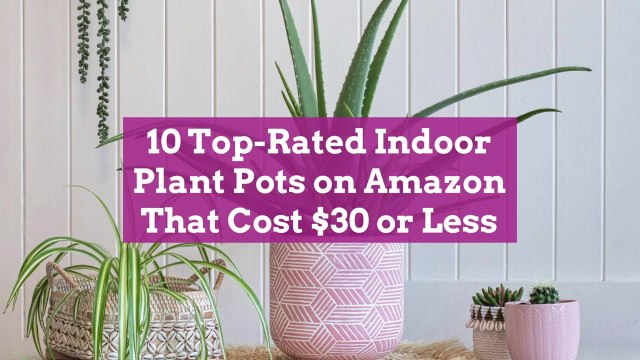10 Top-Rated Indoor Plant Pots on Amazon That Cost $30 or Less
