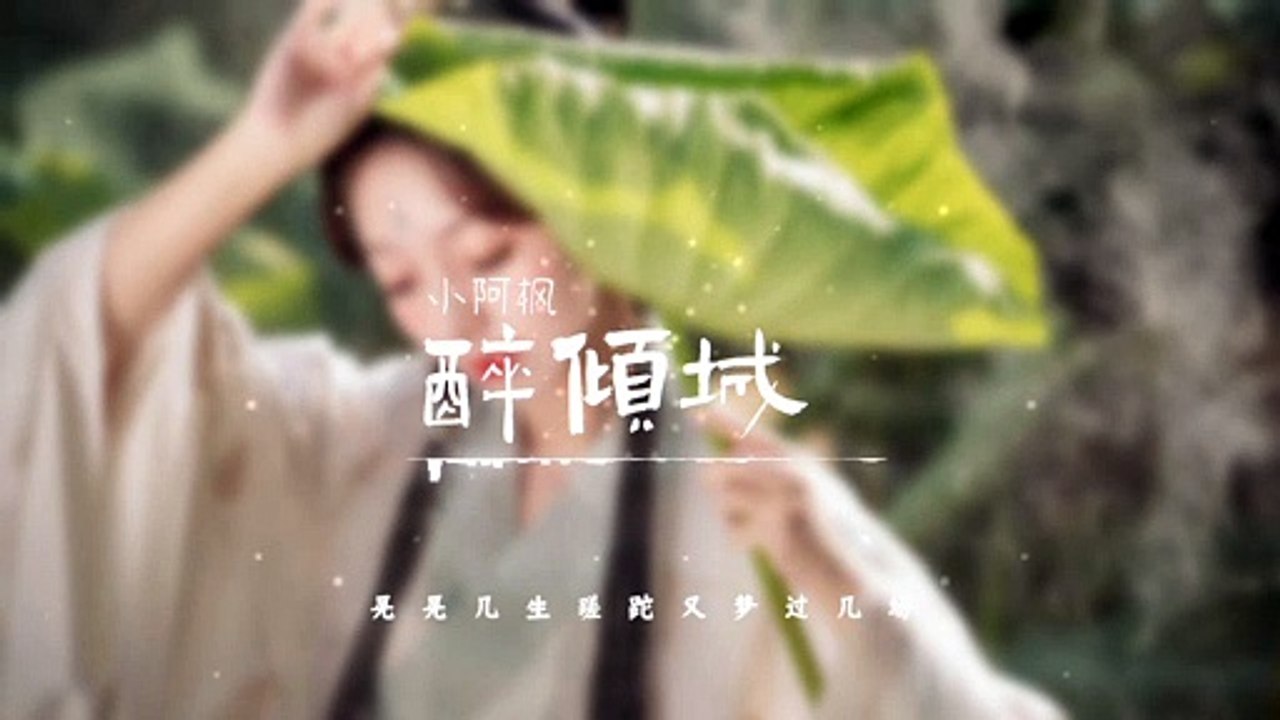 小阿枫《醉倾城》高品音质【动态歌词Lyrics】