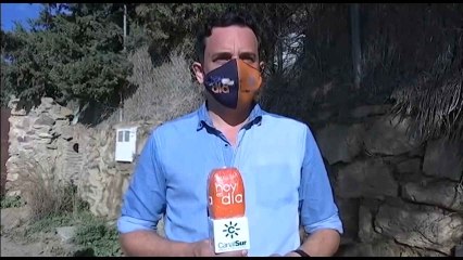 El momento de la agresión a los reporteros de Canal Sur.