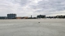 Un avion atterrit d'urgence sur une plage en Floride