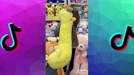 TikToks That Reduced Traffic  [aF3dSjNKhHk]