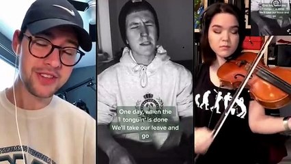 « The Wellerman » sur TikTok