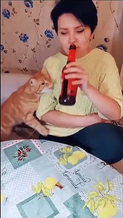 El tierno video de un gatito que impide con mordiscos que su dueña tome cerveza