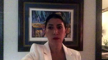 Declaraciones de Cynthia Zapata -directora de la Dirección de Apoyo al Consumidor