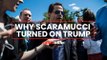 Anthony Scaramucci breaks ranks with Donald Trump, supports Biden