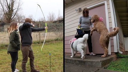 Families Celebrate New Additions With Fun Gender Reveals