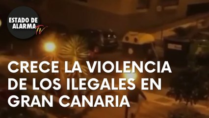 Crece la violencia de los ilegales en Gran Canaria