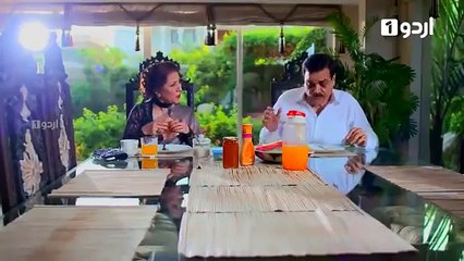 Be Aib   Episode 17   Urdu1