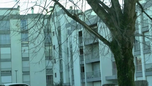 LES W-D.D. MICHOU64 NEWS - 16 JANVIER 2021 - PAU - RAVALEMENT RÉSUMÉ DES TRAVAUX DE LA 2ÈME SEMAINE DE 2021 DU 11 AU 15 JANVIER